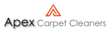 Professional Carpet Cleaners in Metro Atlanta – Best Carpet Cleaning